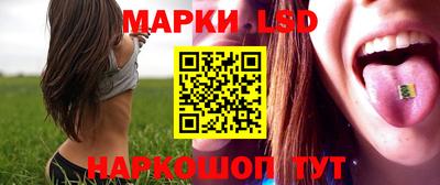 сатива Кинель